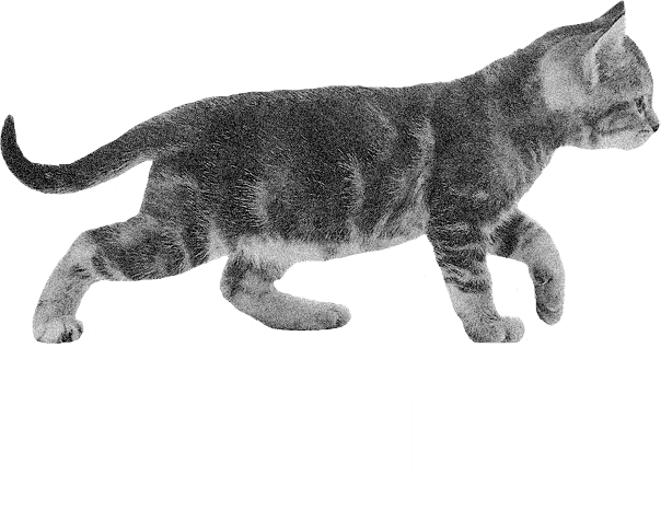 NixtyHome